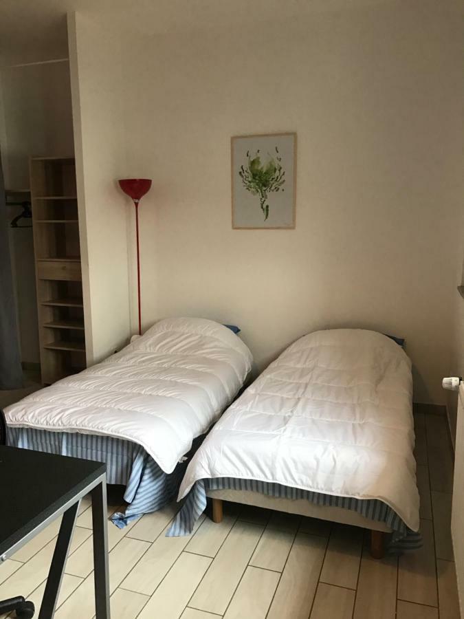 Appartamento Les Studines Roanne Esterno foto
